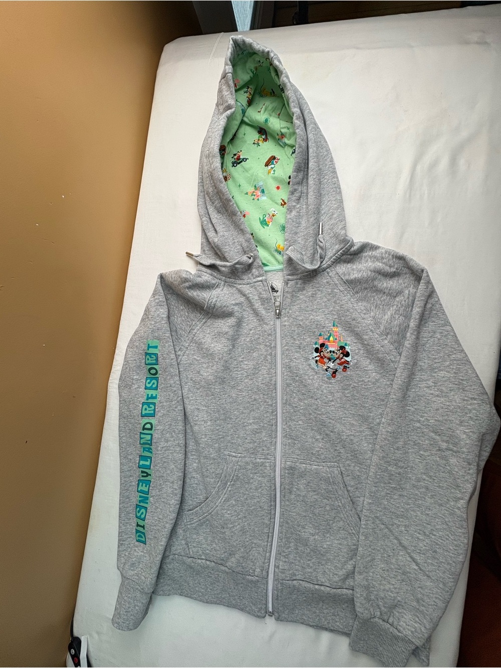Disney Gray Zip-Up Hoodie with Mint Character Lining